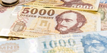 Viewed from above, the image of a 5,000 and 1,000 forint note can be seen in tones of auburn, yellow and blue. 